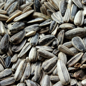 Seeds
